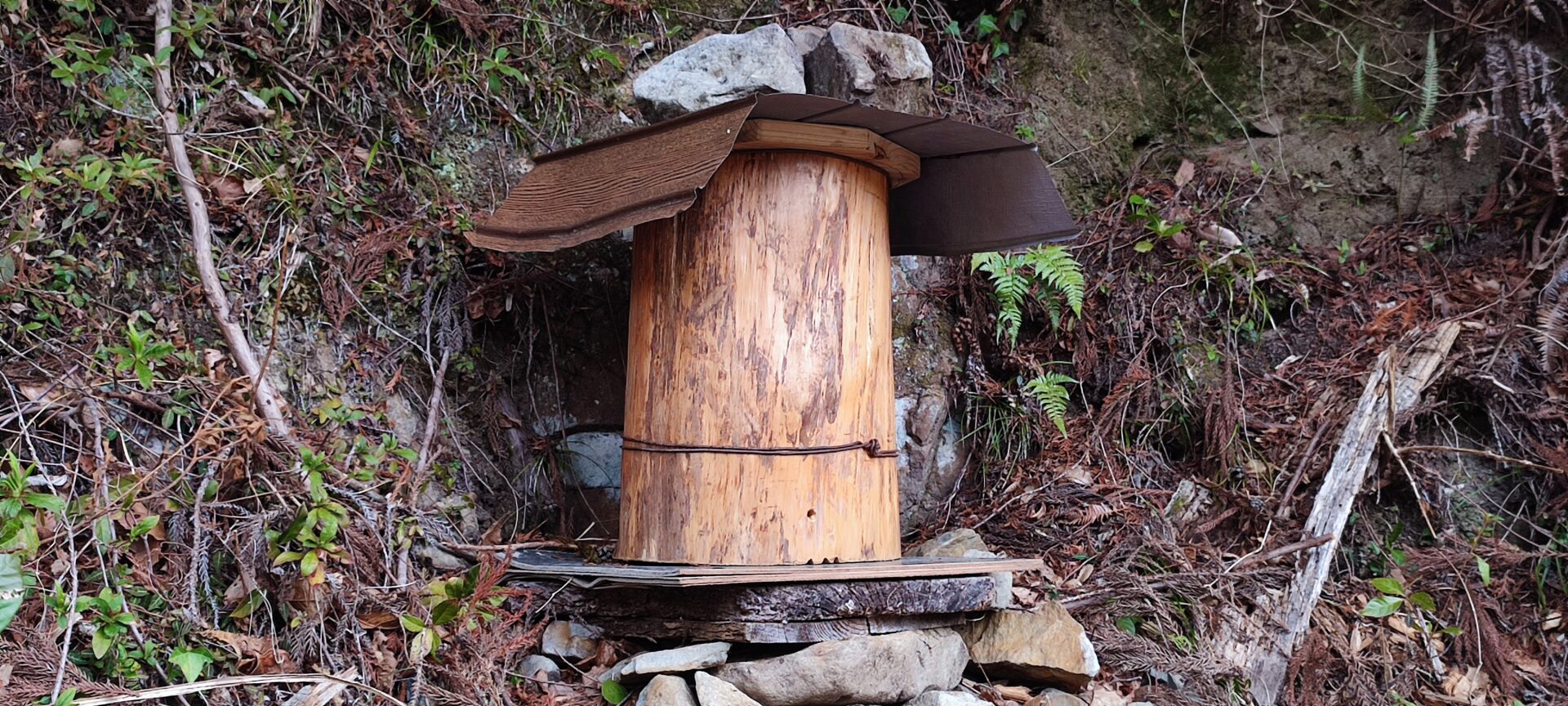 蜜蜂 巣箱 杉 手作り 蜂の巣 山を散歩すると不思議なものが